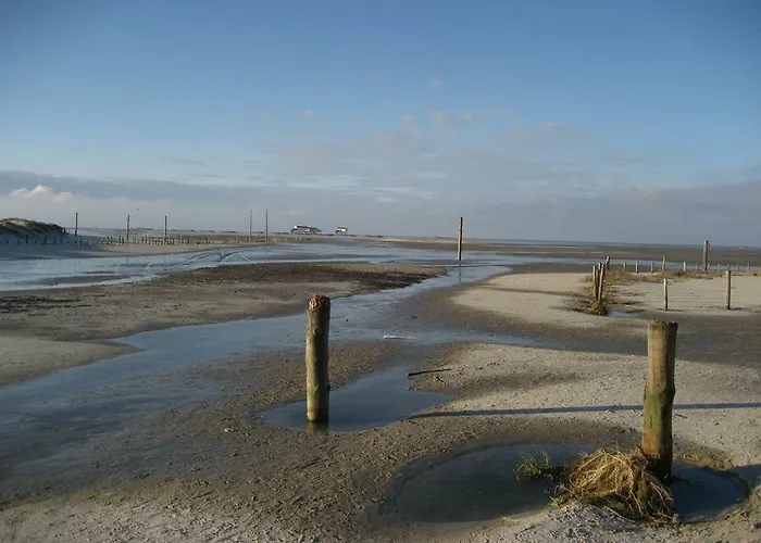 Lägenhet Stecher-schulz